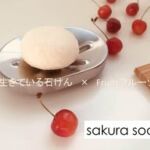 無添加_フルーツ石鹸_敏感肌　sakura soap